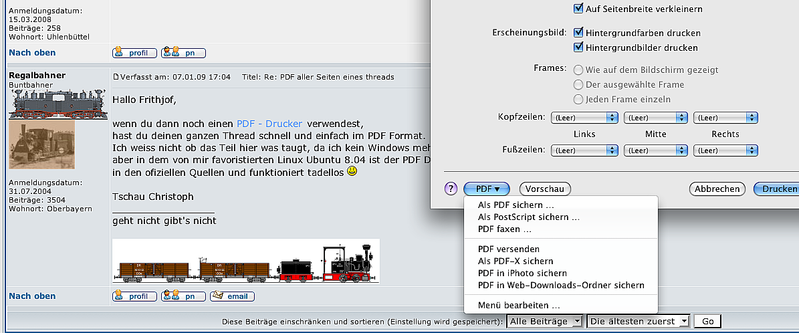 PDF_sichern