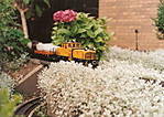146Scannen0003.jpg