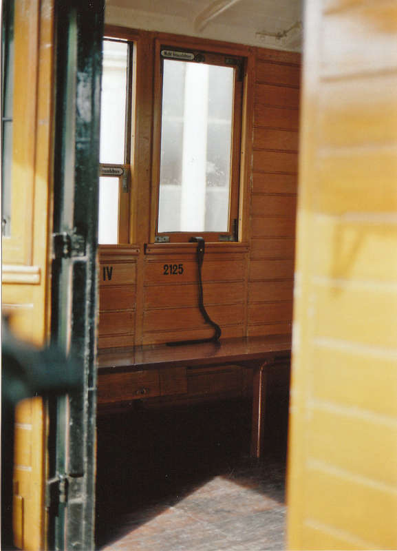 PZ19
