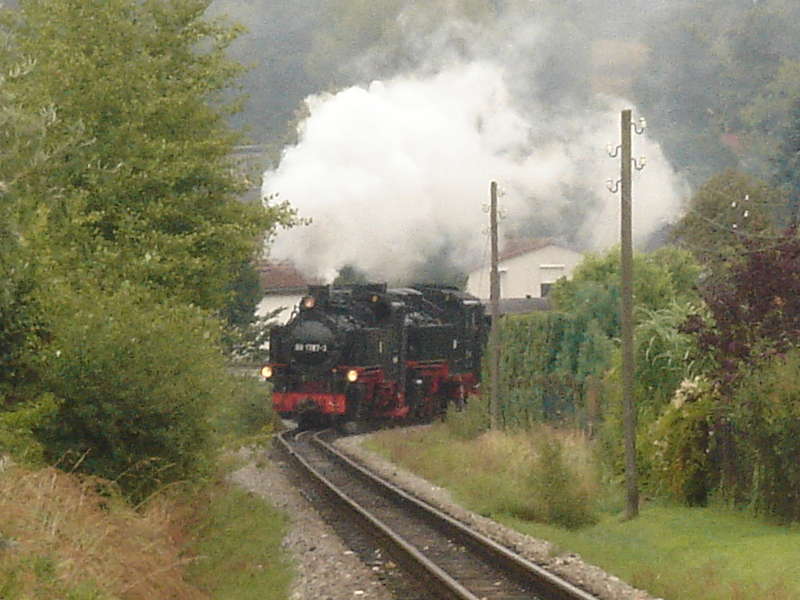 DSC05777