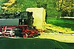 11630804A_27_Niki_mit_99222.JPG