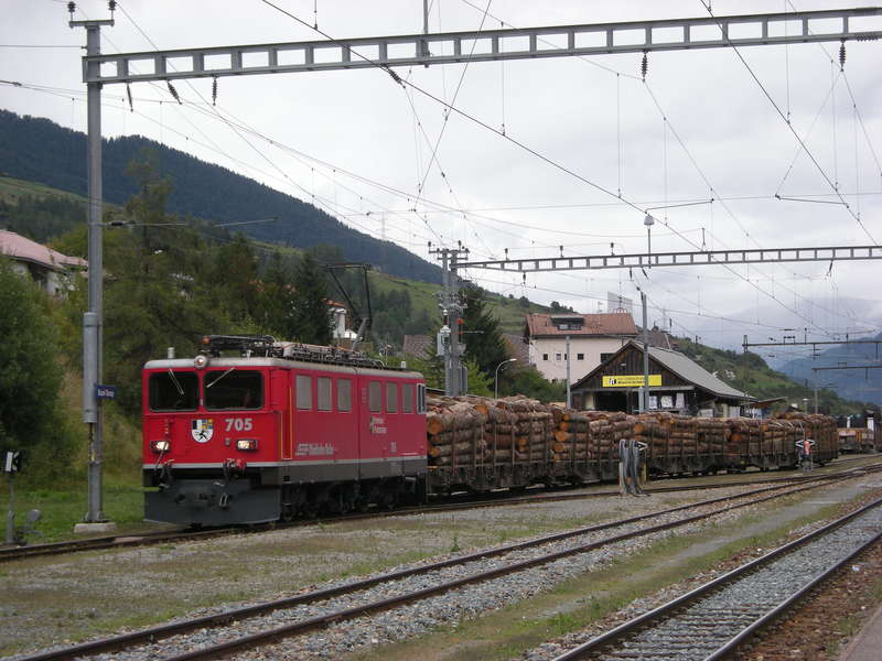 Holzzug im Engadin