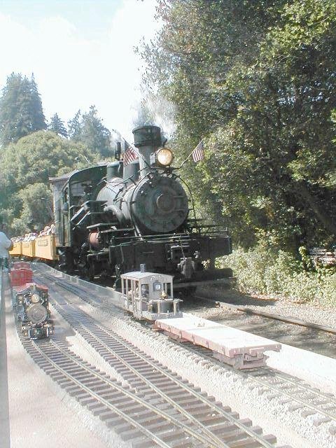 Roaring Camp