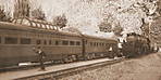 2871gartenbahn_0412.jpg