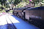 2871gartenbahn_191bigboy.jpg