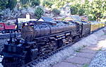 2871gartenbahn_224bigboy.jpg