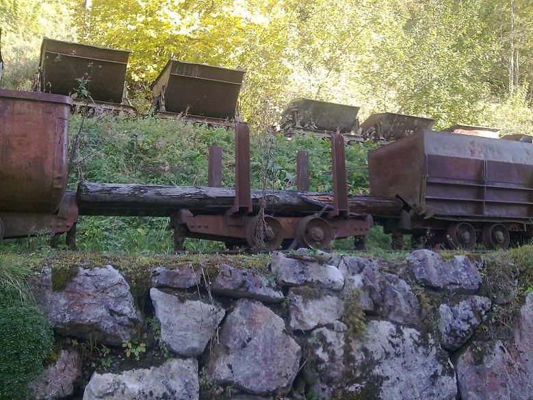 Rungenwagen