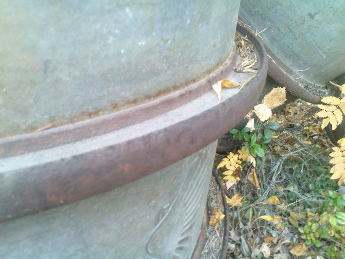 detail_of_rim