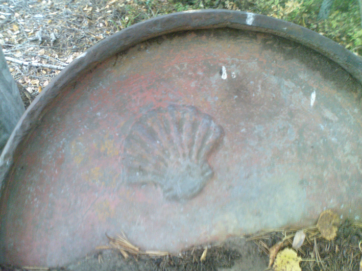embossed_shell_logo