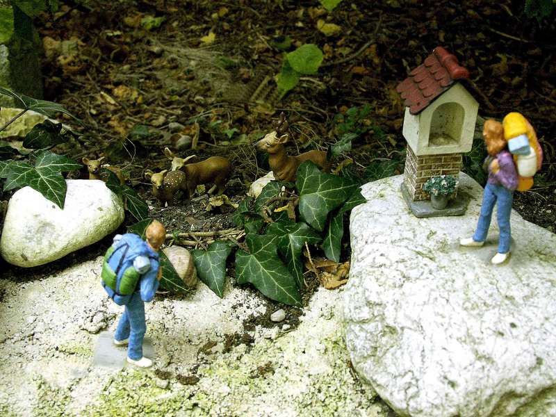 Begegnung_im_Wald