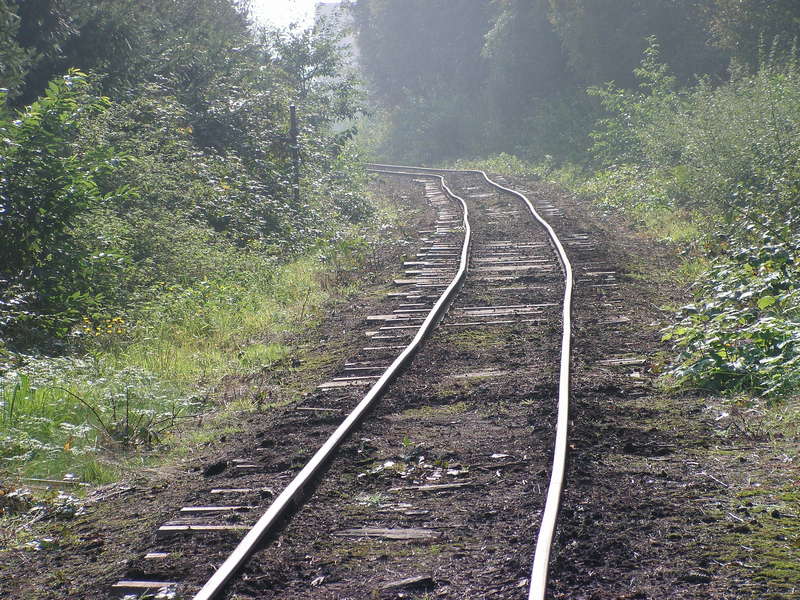 1c