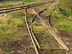 37901d.JPG
