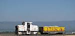 741IMG_0110small.jpg