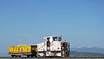 741IMG_0124small.jpg