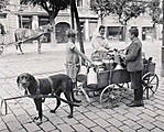 3560866368_1_articledetail_270_008_6063224_fe_Hundefuhrwerk_Milchhandel_02.jpg