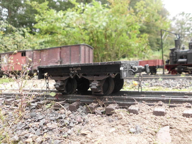 Steinhuder Meerbahn / DEV Sw