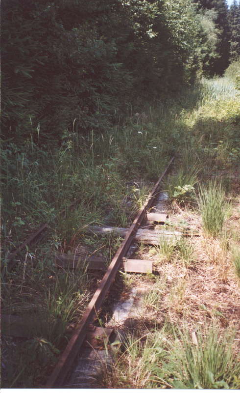 Gleisbau Torfbahn Feilnbach