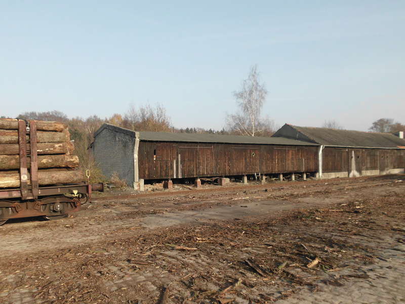 Schuppen in Harpstedt