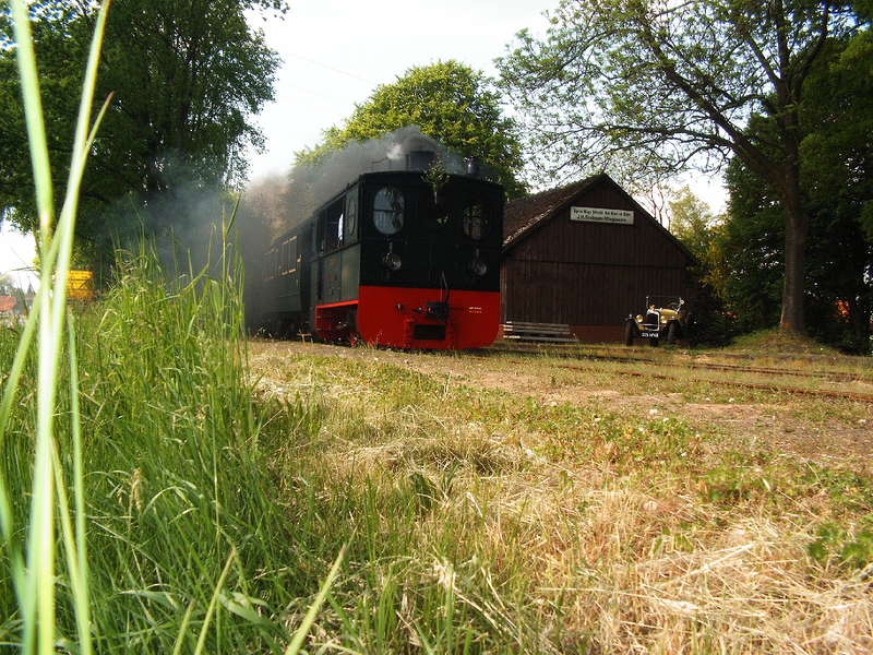 DEV lok Plettenberg in Heiligenberg