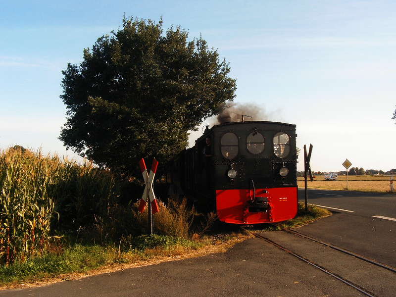 Plettenberg in Arbste