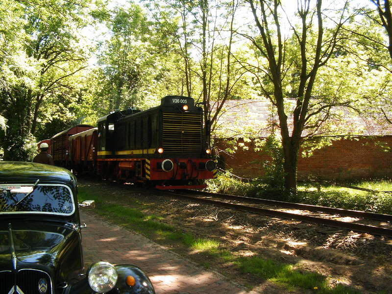 V36005 in Ünzen