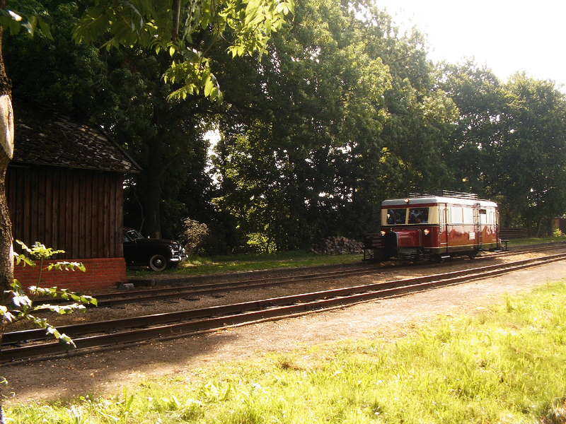 T41 in Heiligenberg