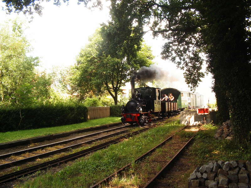 Franzburg in Vilsen Ort