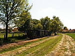3560120508_016.jpg