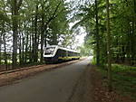 3560August_2011_040.JPG