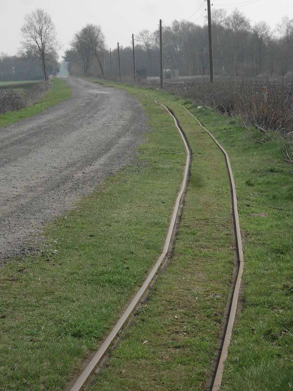 hinaus ins Moor....