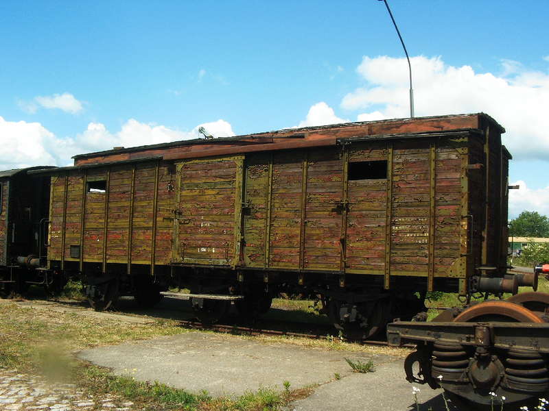 KPEV Pferdetransportwagen 1