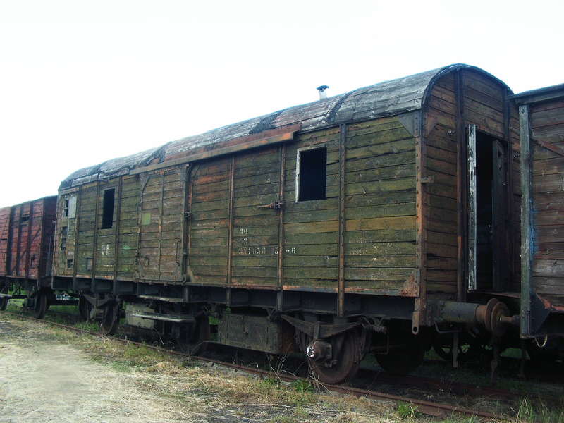 Pferdetransportwagen? 1