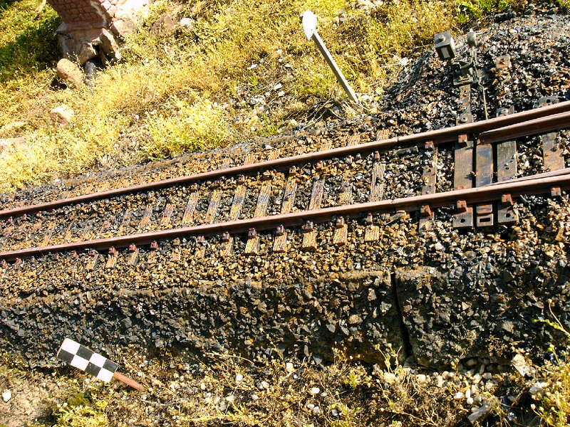 Rost