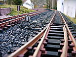 2906IMAG0023.JPG