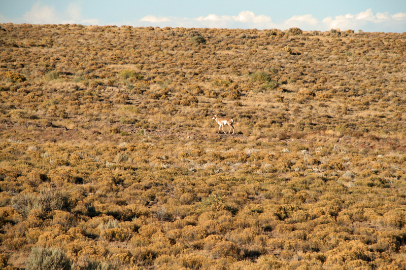 Colorado 140