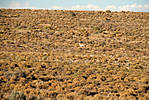 80Colorado_2008-09-30_6387.jpg