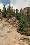 80Colorado_2008-10-01_5951.jpg