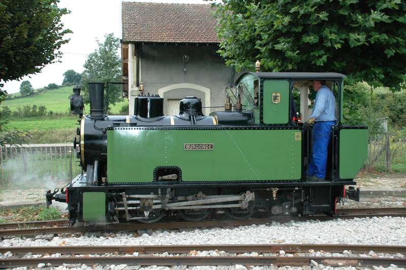 C-Kuppler &quot;Burgonde&quot;