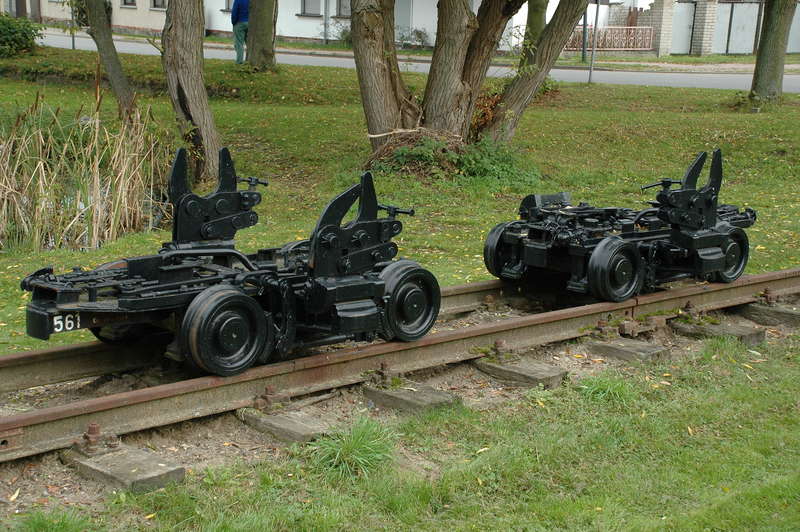 Rollböcke in Lindenberg