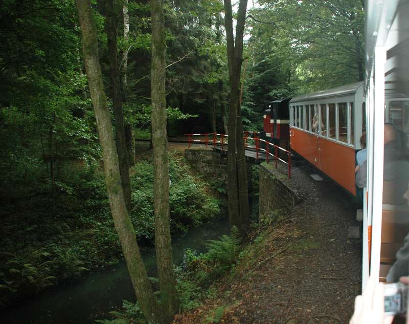 Mit der Eisenbahn durch den Wald