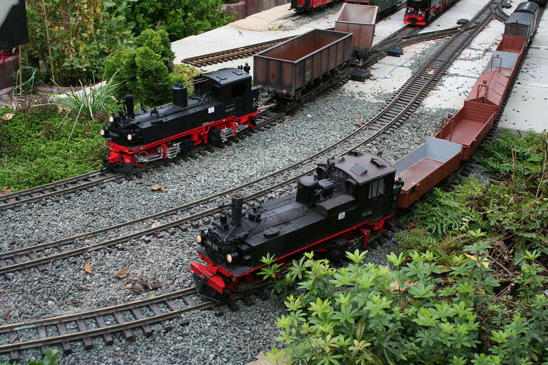 Bild_2011