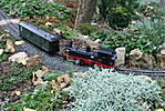 3394Bild_2095.jpg