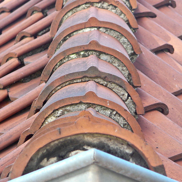 Alter_Lagerschuppen_147