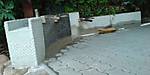 3410DSC04786.JPG