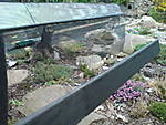 3410dsc04040.jpg