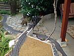 3410dsc04758.jpg