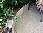 3410dsc04763.jpg