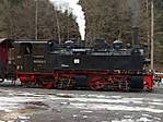 3394046.jpg