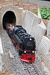 3947Gartenbahn_Murrhardt_140609_004.JPG