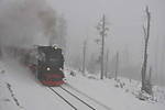 3947Harz_1212_049.JPG